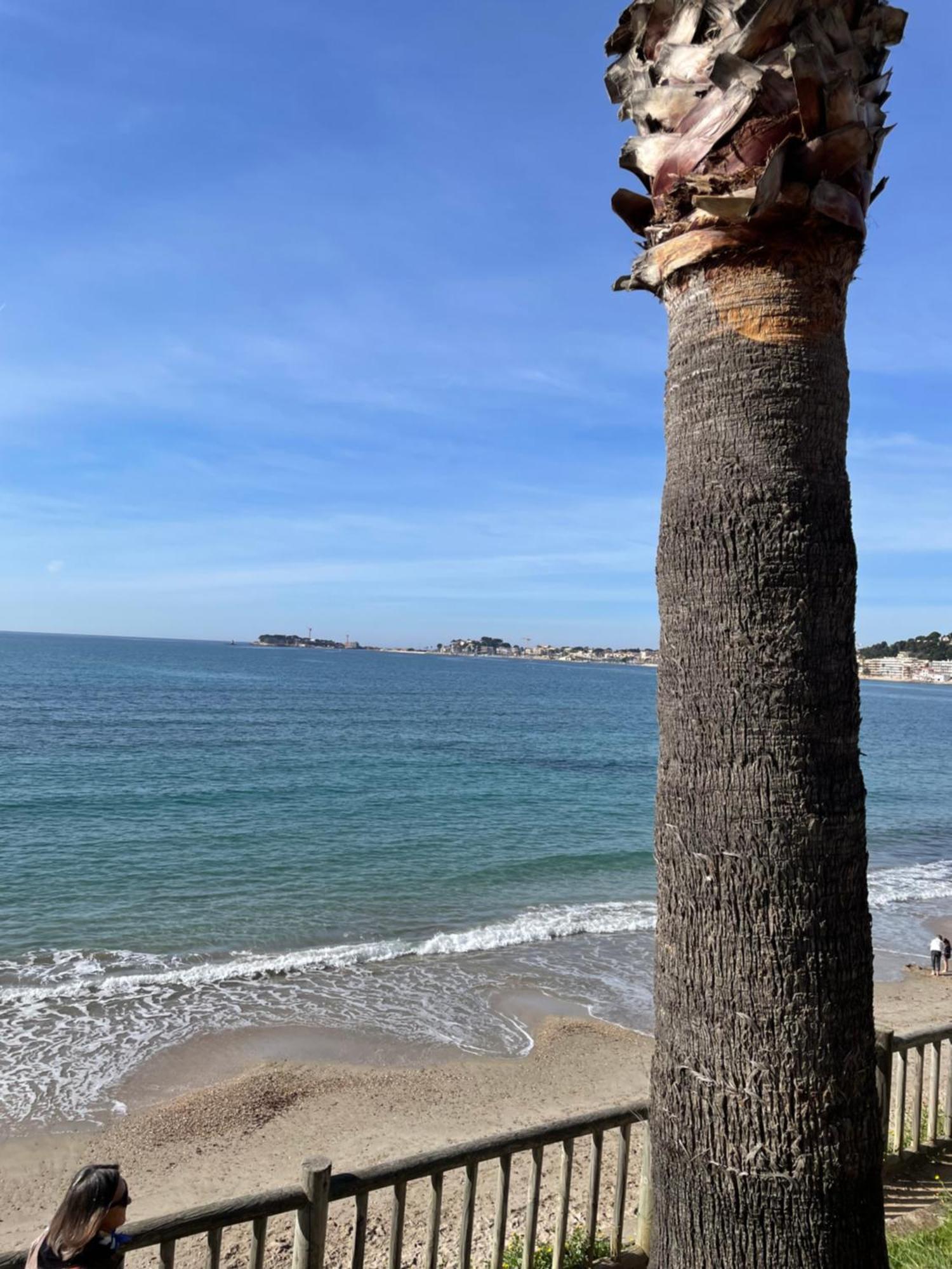 Studio Climatise Piscine Et Proche Plage Sanary-sur-Mer Eksteriør billede